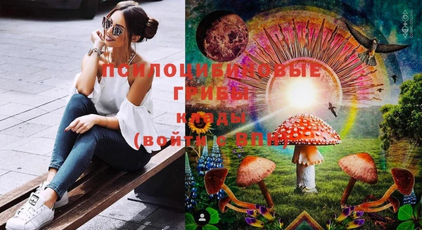 бошки Великий Новгород