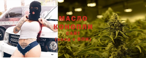 сатива Орск